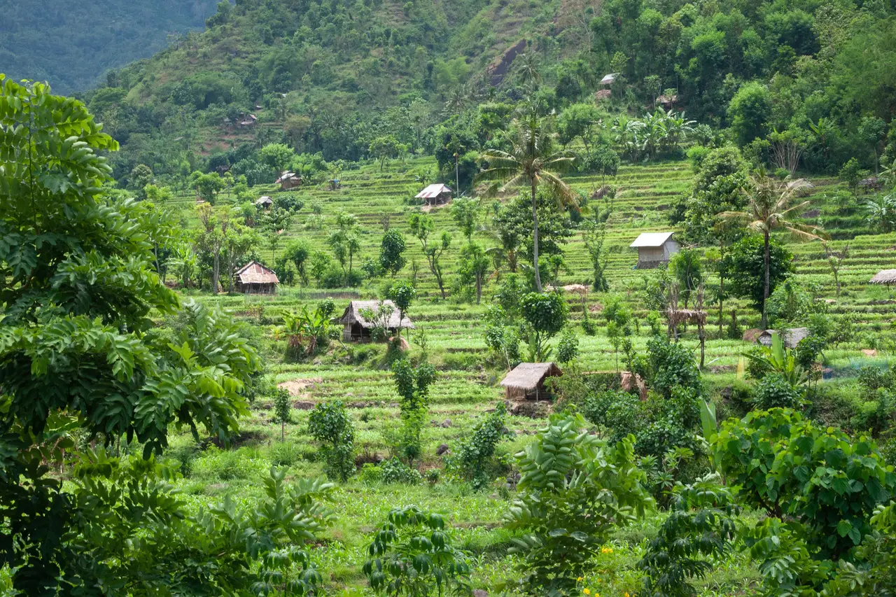 Indonesien